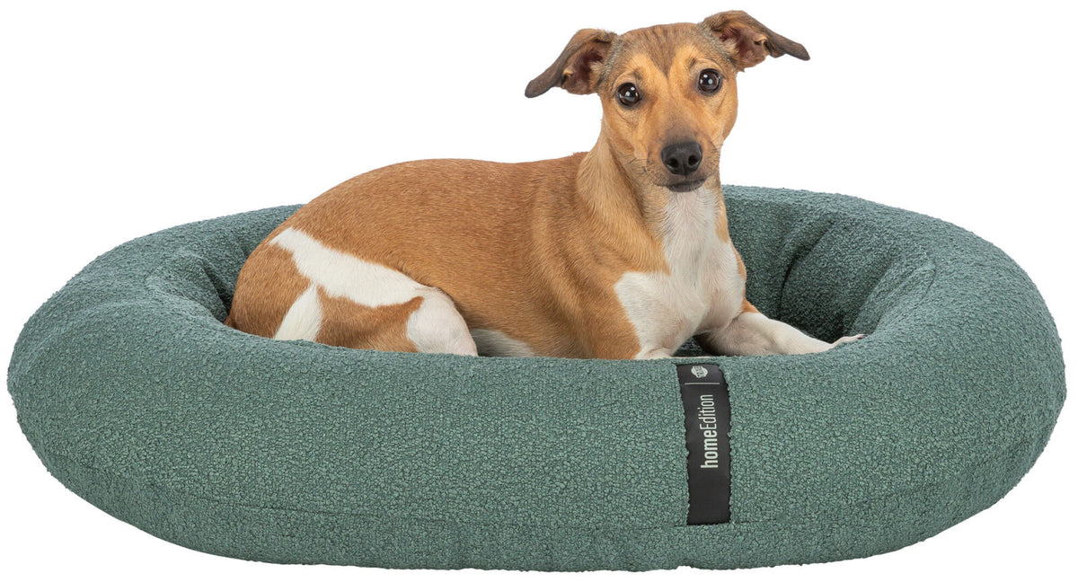 Hund mit braun-weißem Fell liegt in einem ovalen, grünen Hundebett mit "Home Edition"-Aufschrift.