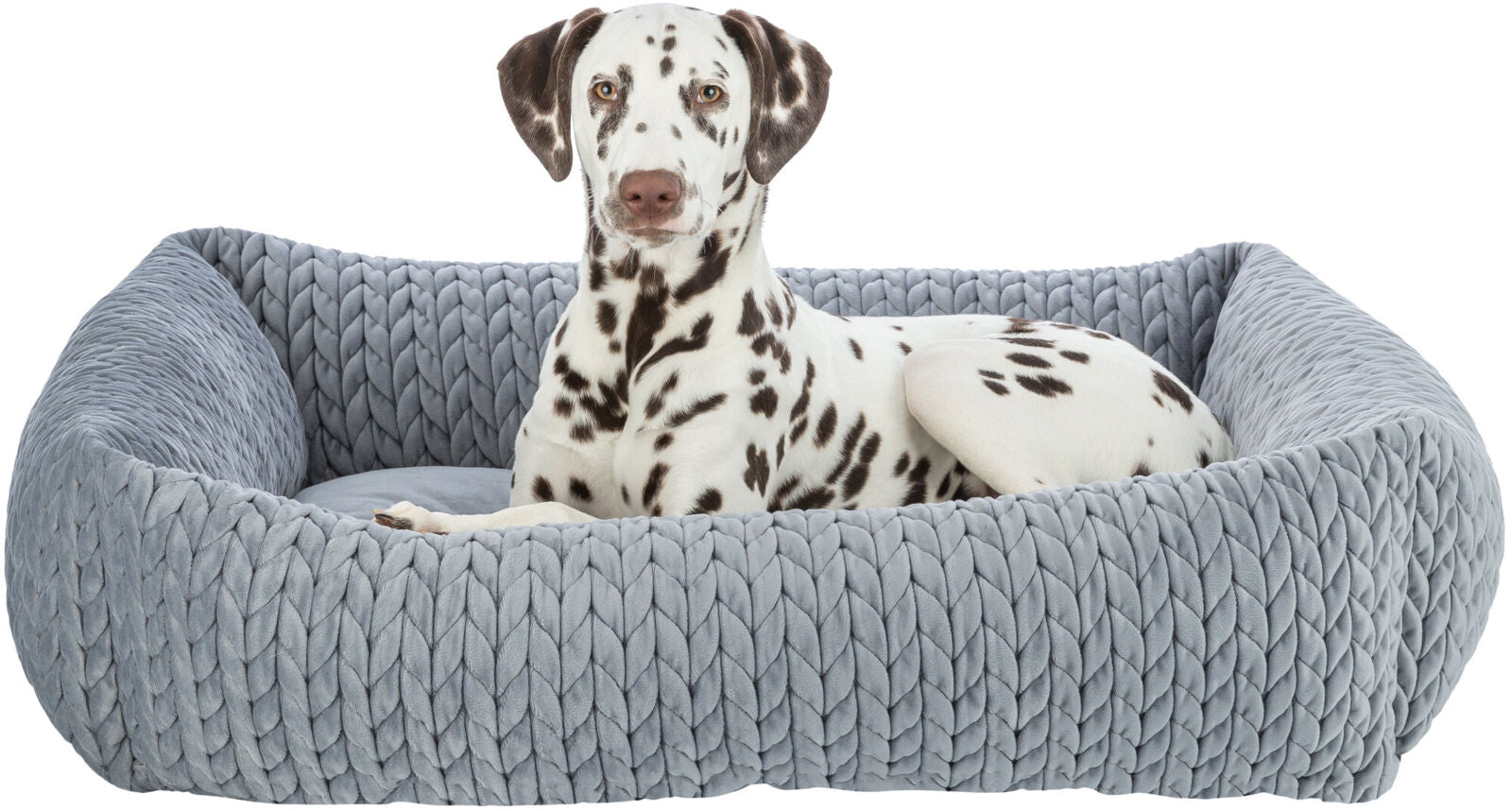 Ein Hund liegt in einem grau gepolsterten, geflochtenen Hundebett und blickt nach vorne.