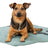PHO_PRO_DOG_CLIP_373020-1