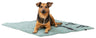 PHO_PRO_DOG_CLIP_373020-1