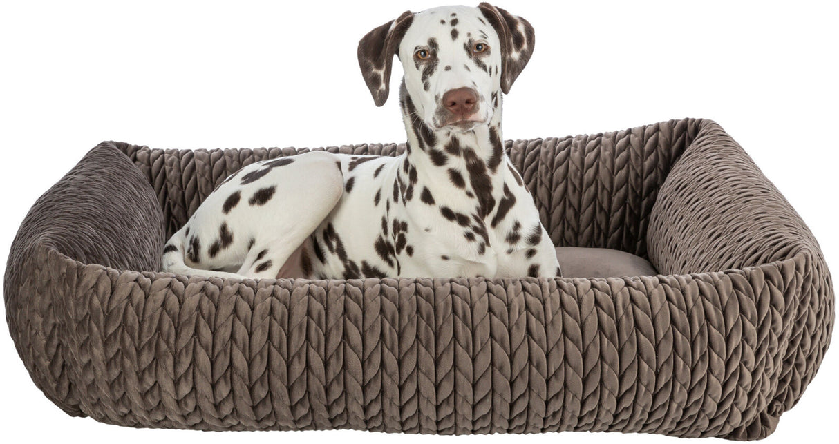 Ein gefleckter Hund liegt in einem braunen geflochtenen Hundebett.