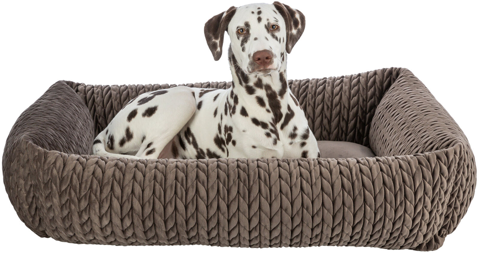 Ein gefleckter Hund liegt in einem braunen geflochtenen Hundebett.