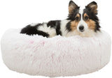 PHO_PRO_DOG_CLIP_37317-1