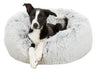 PHO_PRO_DOG_CLIP_37318-1