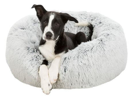 Schwarz-weißer Hund liegt in einem runden, flauschigen, grauen Bett und schaut nach vorne.