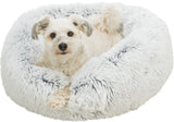 PHO_PRO_DOG_CLIP_37320-1