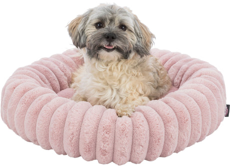 PHO_PRO_DOG_CLIP_37329-37996-37997-2