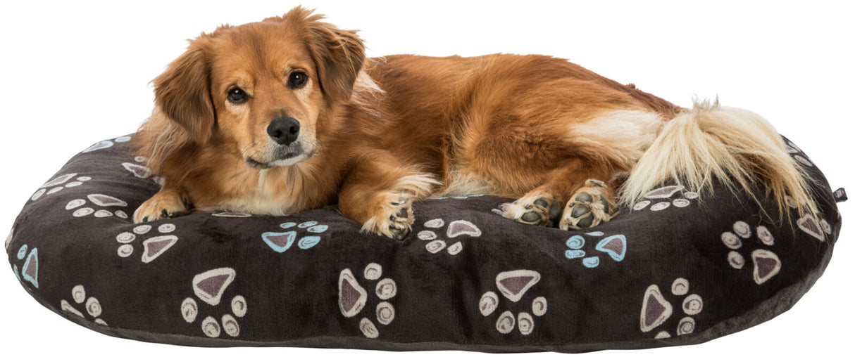 Ein brauner Hund liegt auf einem dunkelgrauen Kissen mit hellen Pfotenabdrücken.