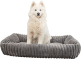 PHO_PRO_DOG_CLIP_374020-374021-374022-1