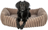 PHO_PRO_DOG_CLIP_374025-1