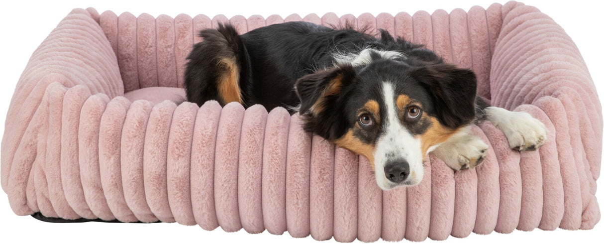 Hund liegt in einem rosafarbenen, gestreiften Hundebett mit weicher Oberfläche.