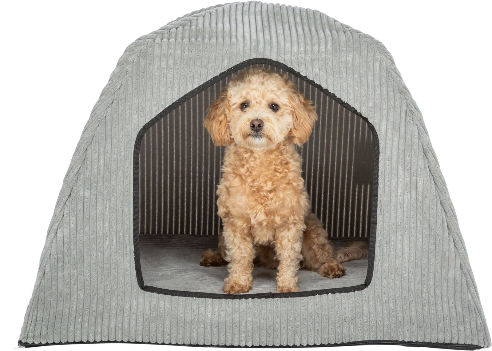 Kleiner gelockter Hund sitzt in einer grauen, gerippten Höhle mit schwarzem Rand und gestreiftem Innenraum.