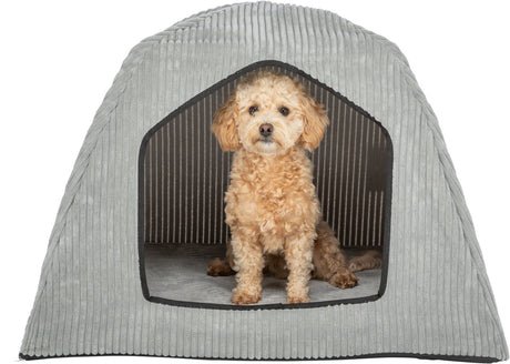 Kleiner gelockter Hund sitzt in einer grauen, gerippten Höhle mit schwarzem Rand und gestreiftem Innenraum.