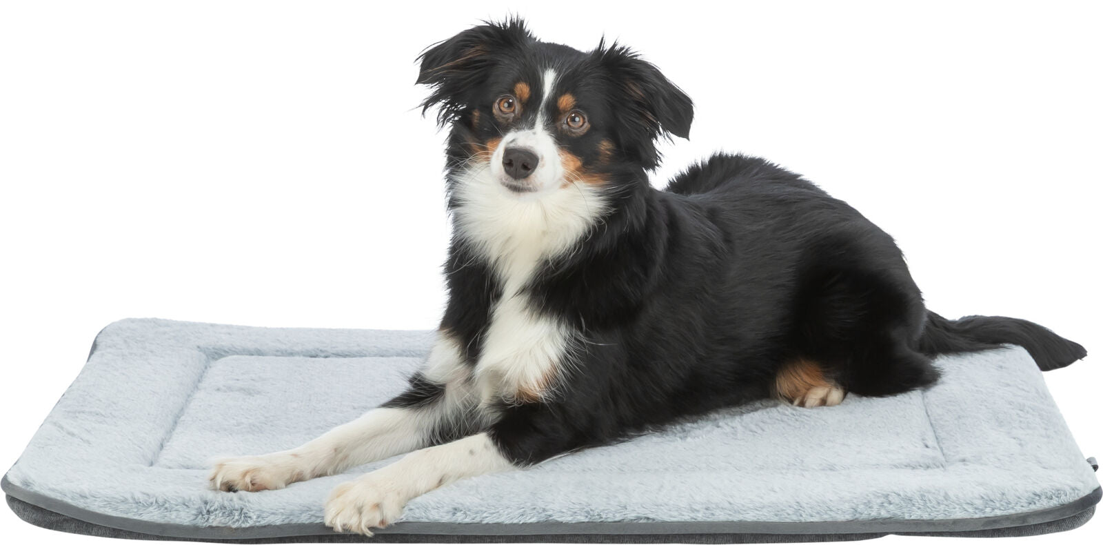 Ein schwarz-weißer Hund liegt auf einem grauen, rechteckigen Hundebett mit leicht erhöhtem Rand.