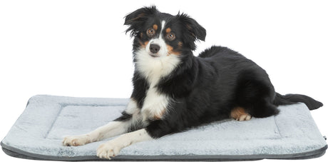 Ein schwarz-weißer Hund liegt auf einem grauen, rechteckigen Hundebett mit leicht erhöhtem Rand.