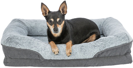 PHO_PRO_DOG_CLIP_374050-374051-374052-1