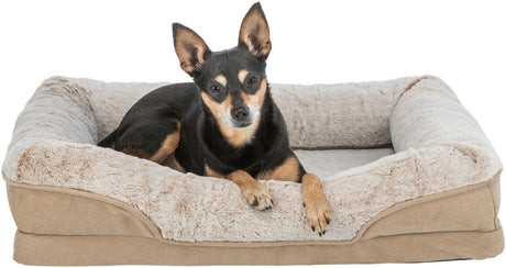 PHO_PRO_DOG_CLIP_374055-374056-374057-1