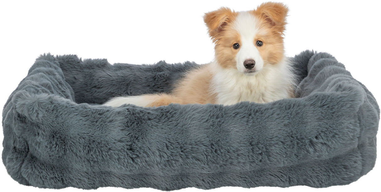 PHO_PRO_DOG_CLIP_374085-374086-374087-374088-1