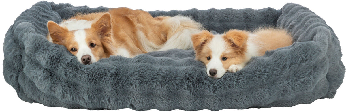 Zwei Hunde liegen in einem flauschigen, grauen Tierbett.