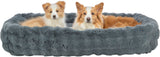 PHO_PRO_DOG_CLIP_374085-374086-374087-374088-3