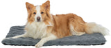 PHO_PRO_DOG_CLIP_374103-374104-374105-1