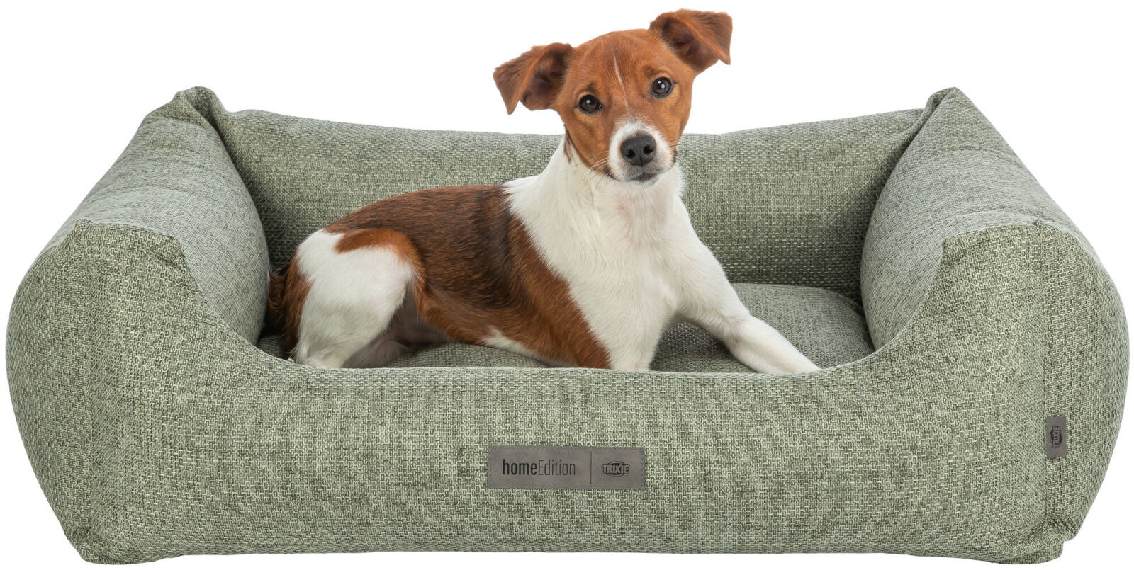 PHO_PRO_DOG_CLIP_37492-37493-1