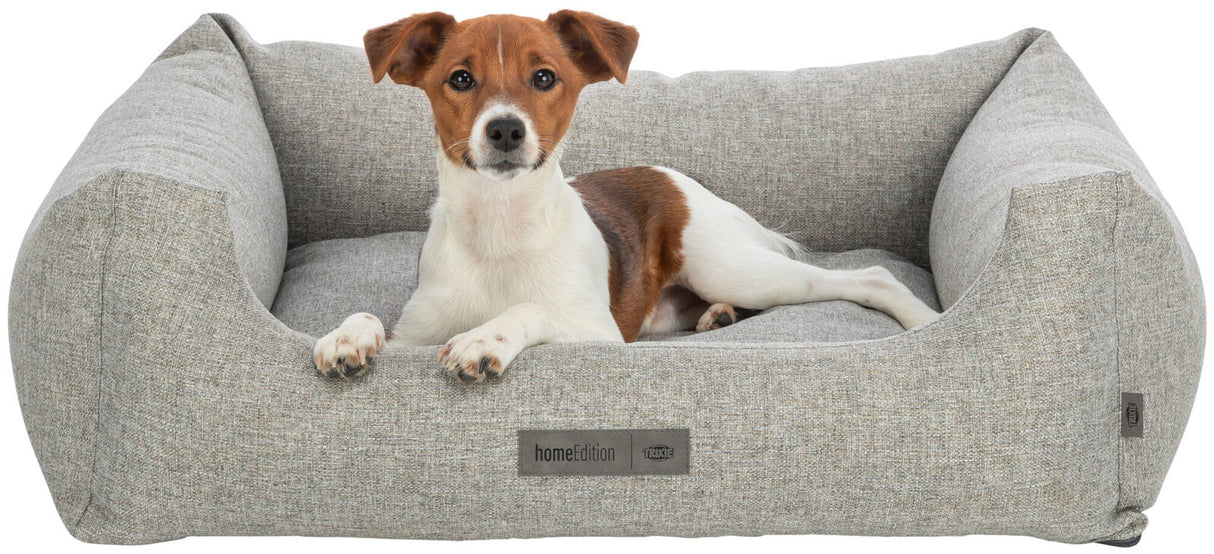 Ein kleiner Hund liegt in einem grauen, rechteckigen Stoff-Hundebett mit den Pfoten auf dem Rand.