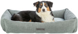 PHO_PRO_DOG_CLIP_37540-37541-37542-1