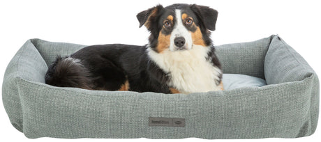 Ein schwarz-weiß-brauner Hund liegt in einem rechteckigen, grauen Hundebett mit Textlabel auf der Vorderseite.