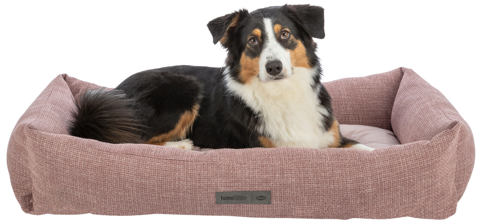 Hund liegt in einem rosa Hundebett mit der Aufschrift "homeEdition" und blickt nach vorn.