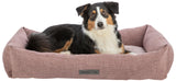 Hund liegt in einem rosa Hundebett mit der Aufschrift "homeEdition" und blickt nach vorn.