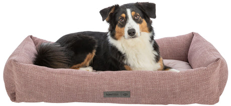 Hund liegt in einem rosa Hundebett mit der Aufschrift "homeEdition" und blickt nach vorn.