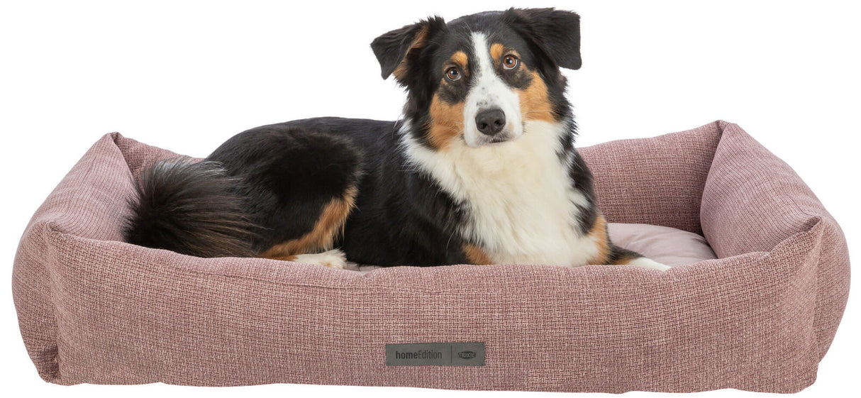 Hund liegt in einem rosa Hundebett mit der Aufschrift "homeEdition" und blickt nach vorn.