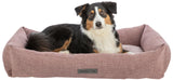 PHO_PRO_DOG_CLIP_37543-37544-37545-1