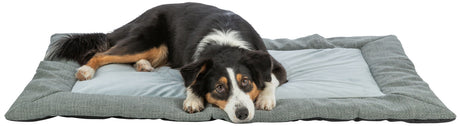 PHO_PRO_DOG_CLIP_37554-37555-1