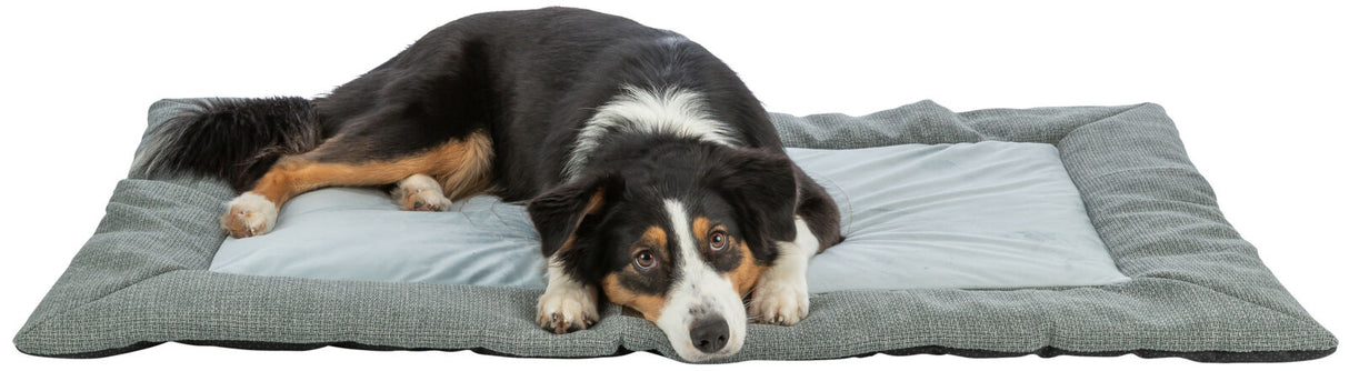 Ein Hund liegt auf einem großen, grau-blauem Rechteckkissen mit weichem Rand und schaut nach vorne.