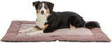 Hund liegt auf einer rechteckigen, gepolsterten Hundematte in Rosa und Beige.
