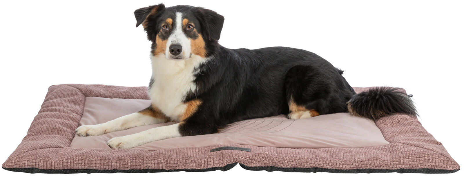 Hund liegt auf einer rechteckigen, gepolsterten Hundematte in Rosa und Beige.