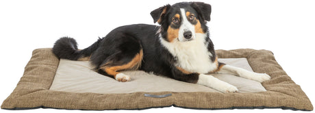 Hund liegt auf einer braunen, rechteckigen Hundematte mit beigem Zentrum, Hund blickt nach vorne.