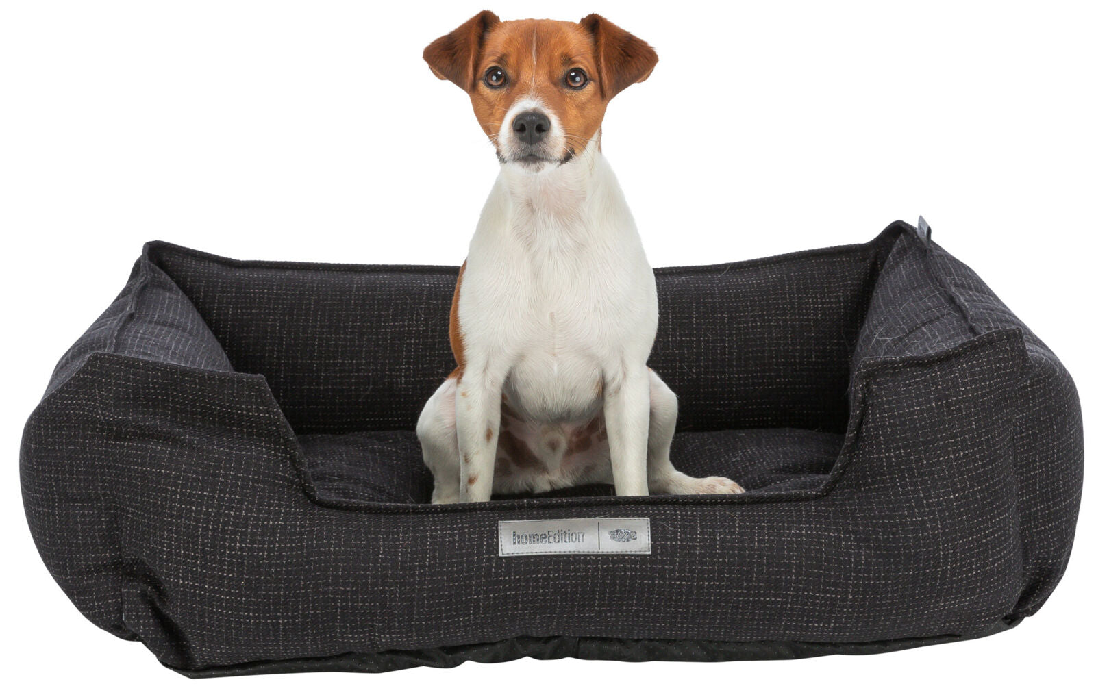 Ein kleiner Hund sitzt in einem schwarzen, rechteckigen Hundebett mit einem Etikett "homeEdition" vorne.