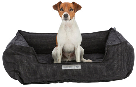 Ein kleiner Hund sitzt in einem schwarzen, rechteckigen Hundebett mit einem Etikett "homeEdition" vorne.