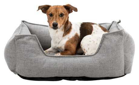 Hund liegt in einem grauen Hundebett mit erhöhten Rändern und blickt geradeaus.