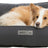 PHO_PRO_DOG_CLIP_37640-37641-37642-1