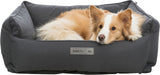 PHO_PRO_DOG_CLIP_37640-37641-37642-1