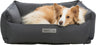 PHO_PRO_DOG_CLIP_37640-37641-37642-1