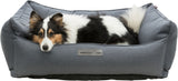 PHO_PRO_DOG_CLIP_37644-1