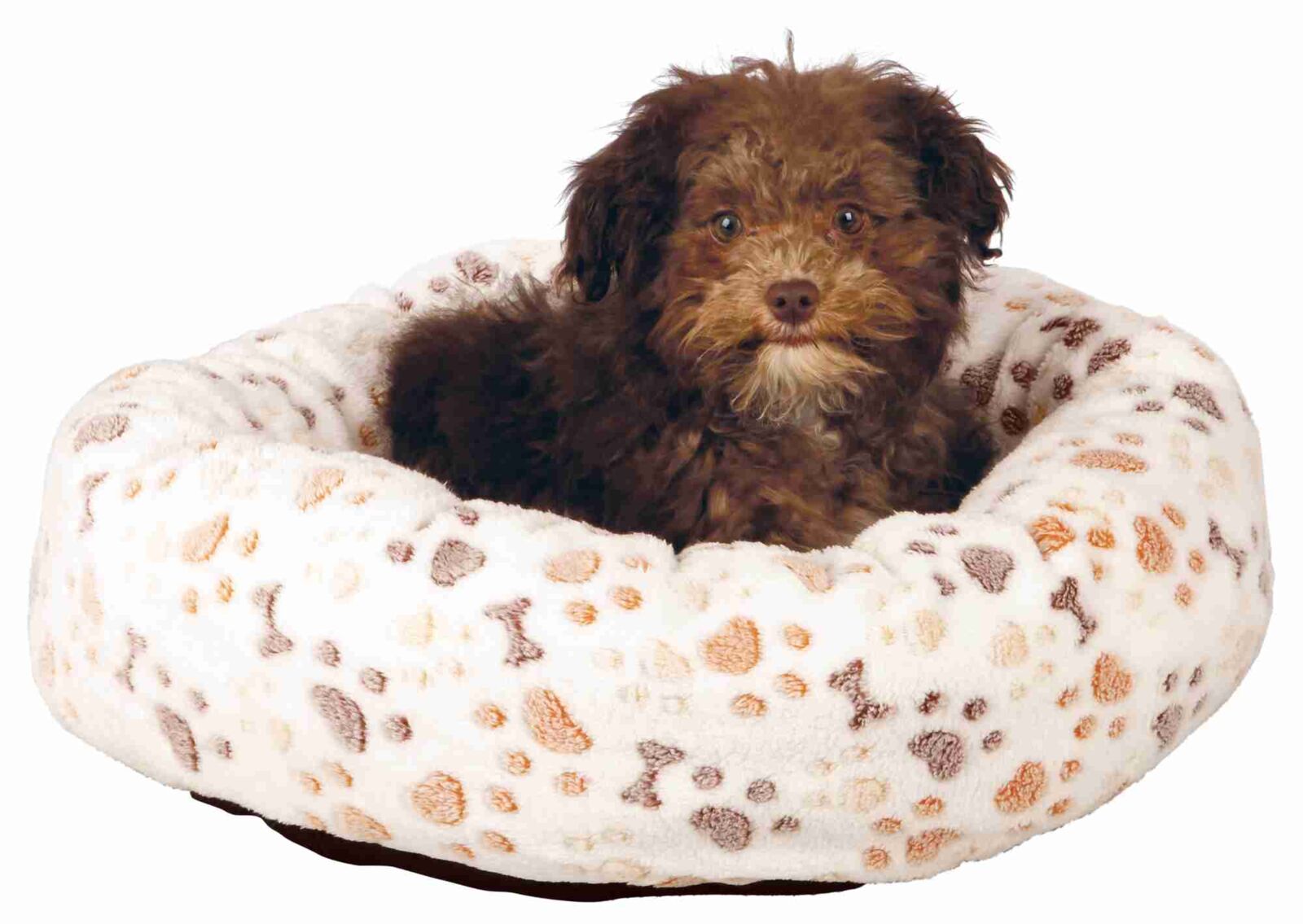 PHO_PRO_DOG_CLIP_37685-37686-1