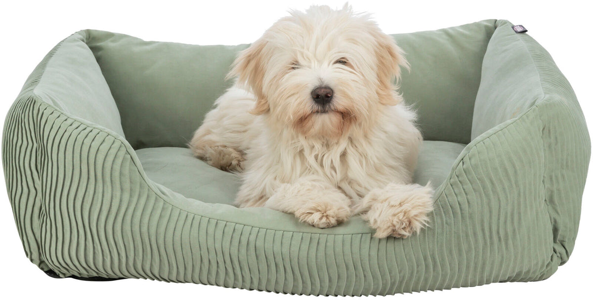 Ein flauschiger Hund liegt in einem weichen, hellgrünen Hundebett mit gesteppten Seiten.