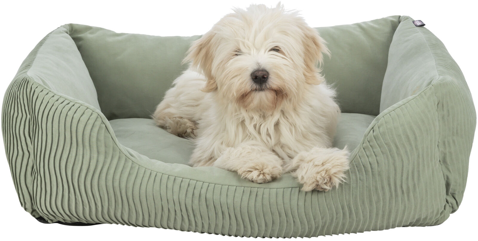 Ein flauschiger Hund liegt in einem weichen, hellgrünen Hundebett mit gesteppten Seiten.