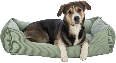 Ein großer Hund liegt in einem grünen, gerippten Hundebett und blickt direkt in die Kamera.